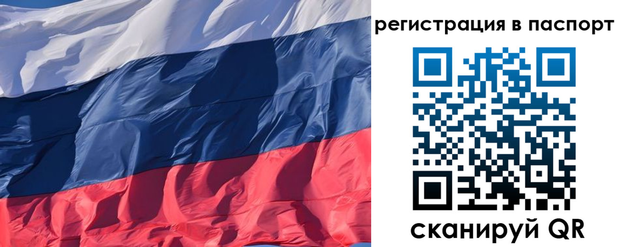 где прописаться в Дятьково